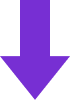 Seta